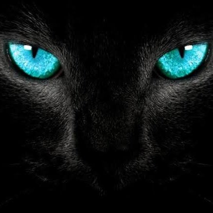 VishnuSk13's tweet photo. #NewProfilePic https://t.co/A58TyRtDgu