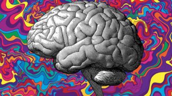 Cannabistical's tweet photo. #MagicalPlants: An Honest Look at #Psychedelics - https://t.co/VySuOu5B4D #Blog #BookReview #BookSynopsis #DoorsOfPerception #MarijuanaNews #NewsAboutMarijuana #Newsletter Cannabistical: of or concerning cannabis. https://t.co/lfMEXmLzj7