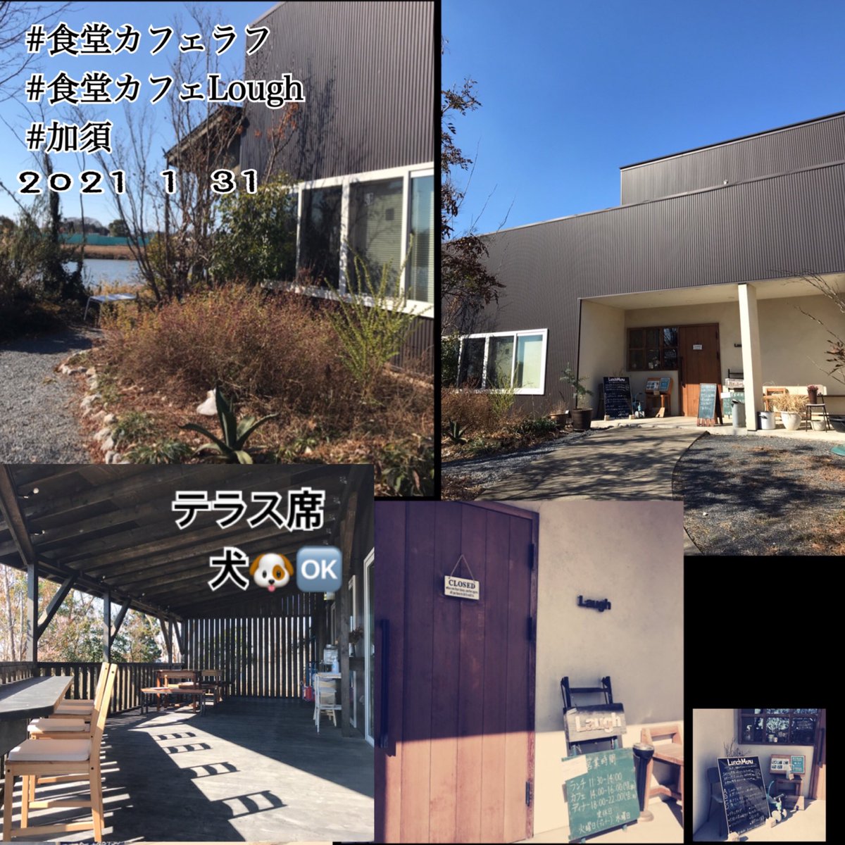 食堂カフェラフ Twitter Search Twitter