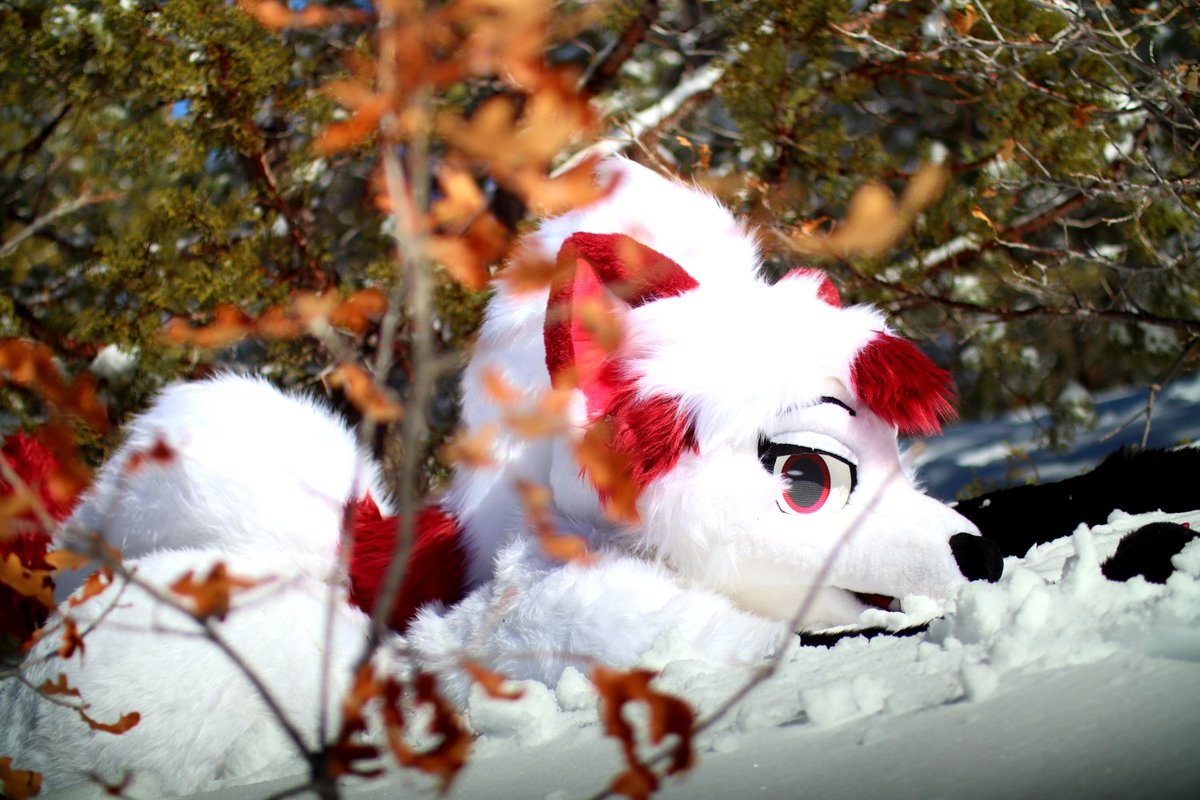 RoseVire's tweet photo. Went to see the snow! https://t.co/gMGZEXG8nO