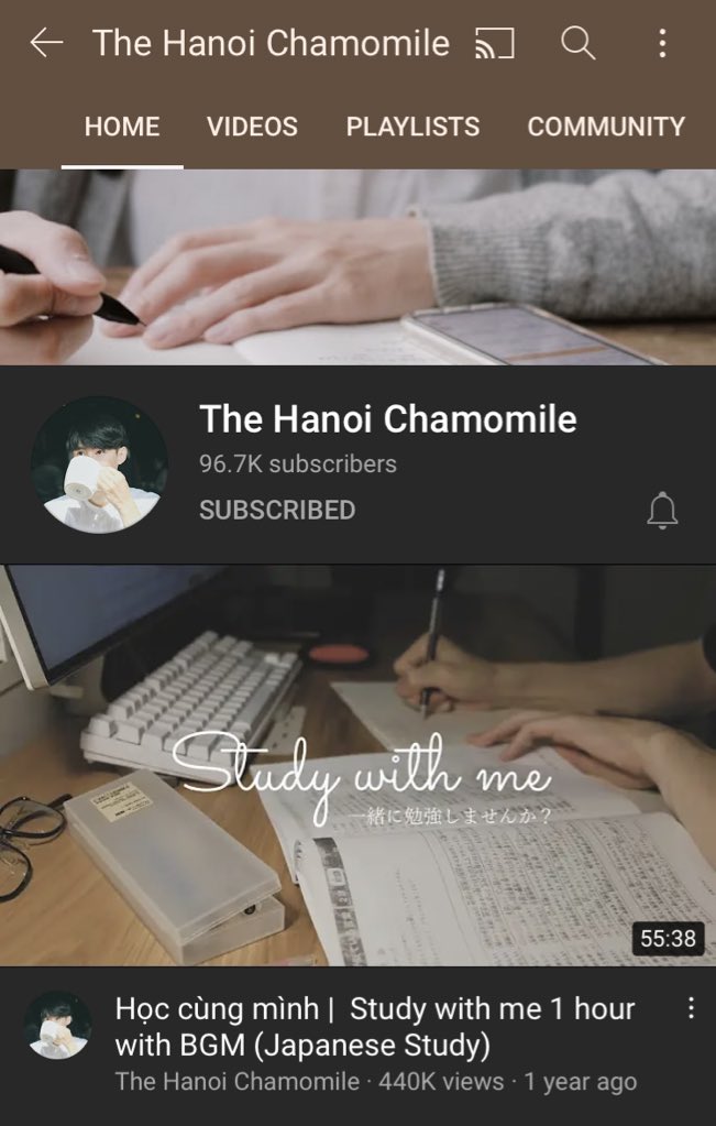 8. The Hanoi Chamomile https://youtube.com/c/TheHanoiChamomile