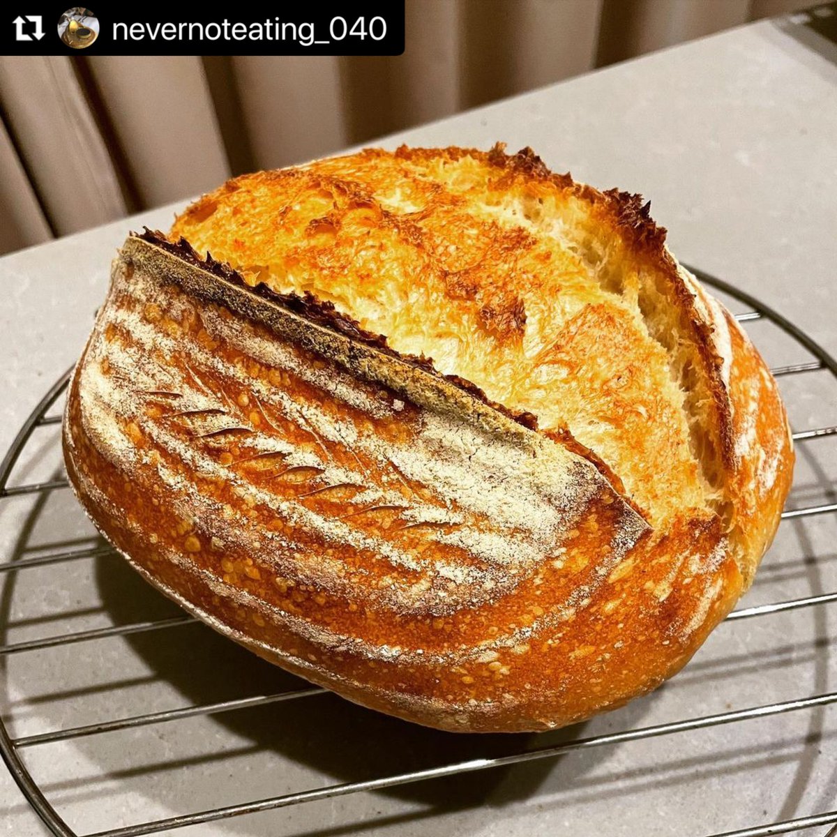 karstvdw's tweet photo. Good morning!
Another sourdough loaf making crispy sounds on the kitchen counter while cooling down.
#weekendbakery
.
.
.
.
#nevernoteating_040 #overmybreadbody #fortheloafofbread #masculinary #crustybread #rusticbread #artisanbread #breadscoring #homebakingisthebest #meerhoven https://t.co/OqfBsohI6f