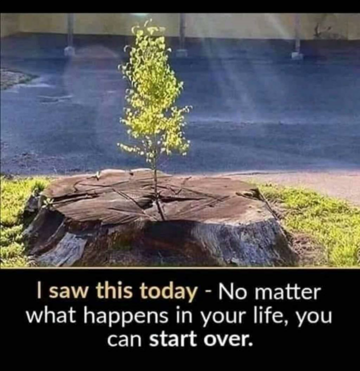 candru07's tweet photo. You are braver than you believe ,
Stronger than you seem,
And Smarter than you think 
Have a great weekend...✌🏻
Stay Safe ...🙂
@anirudhofficial https://t.co/QeWsrIoQgC