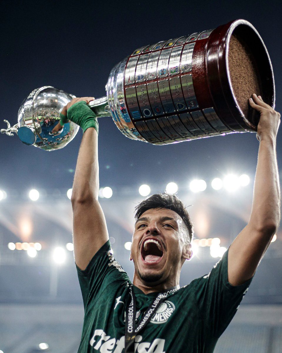 gabrielmenino00's tweet photo. Deus Eu te amo ❤️❤️❤️ CAMPEÃO DA LIBERTADORES QUE SONHO 🏆❤️ https://t.co/IflnohlwYG