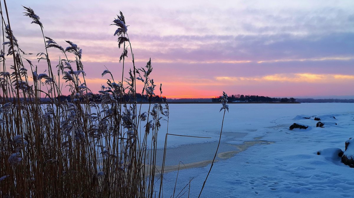 Winter exotics #Helsinki #Finland #photography #StormHour #travel #Photograph #weather #nature #sunrise #morning #Winter #Snow #SundayMotivation https://t.co/gwjVVuvp0Y