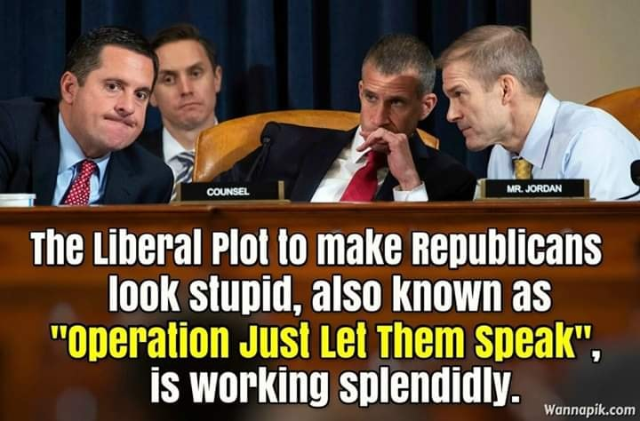 disneygirl186's tweet image. #OperationJustLetThemSpeak #LiberalPlot #GOPSoStupid