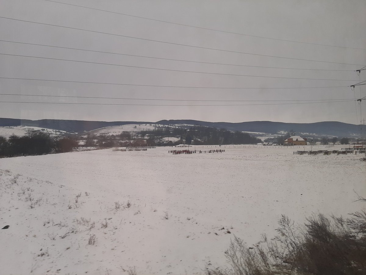 Or as the Romanians would call it: "loc șaizeci și unu". The jolly conductor just gave a 10-minute lecture on how this Hungarian train is Romania's best, although that may be a bit of Magyar chauvinism talking. Comy comparment seats though with power sockets, USB charging ports!