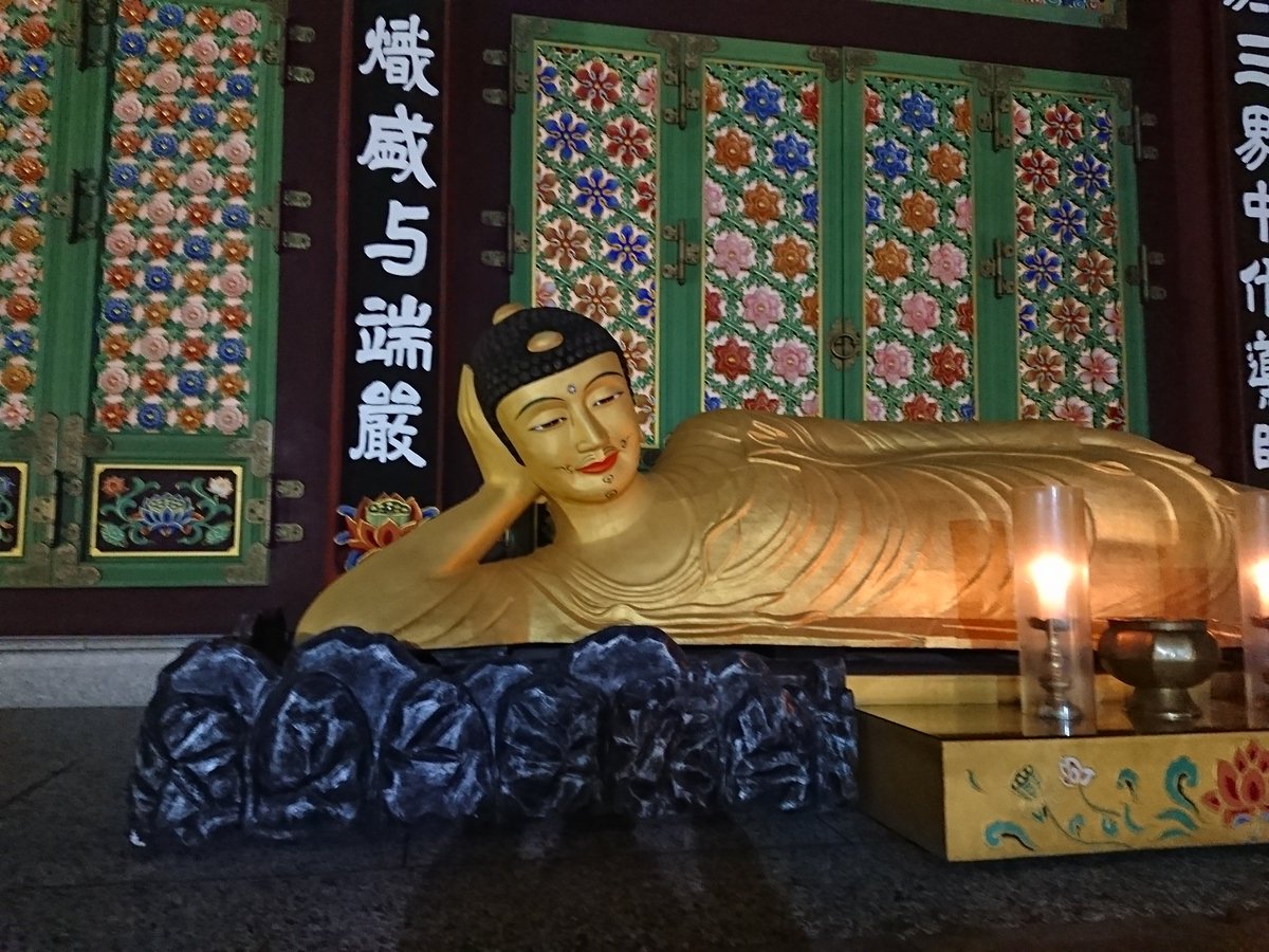 Mainzelkun の画像 動画一覧 Whotwi グラフィカルtwitter分析