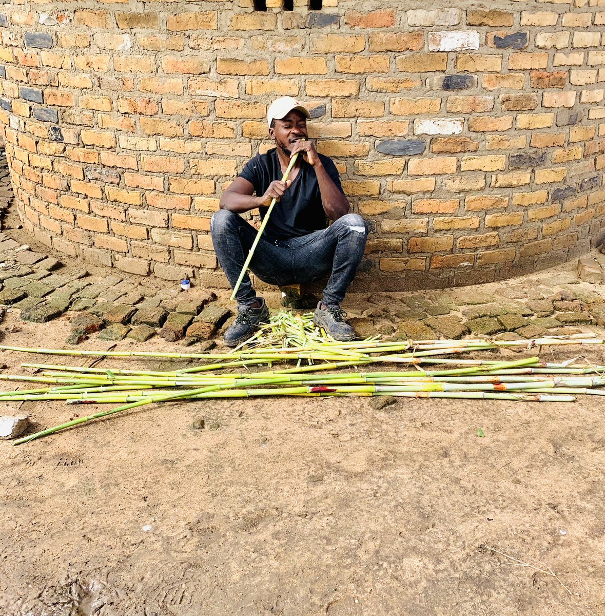 terrymap1's tweet photo. Good morning from The Village. https://t.co/VTYwjtMWX8