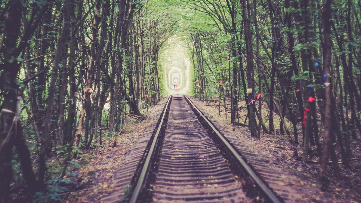 passaportefeliz's tweet photo. Túnel do Amor, uma trilha apaixonante no interior da Ucrânia

https://t.co/vhc07N6XbR

#passaportefeliz #viajar #viagem #travel #world #tunel #tuneldoamor #love #ucrania #europa #europe https://t.co/beDLwTrdGV