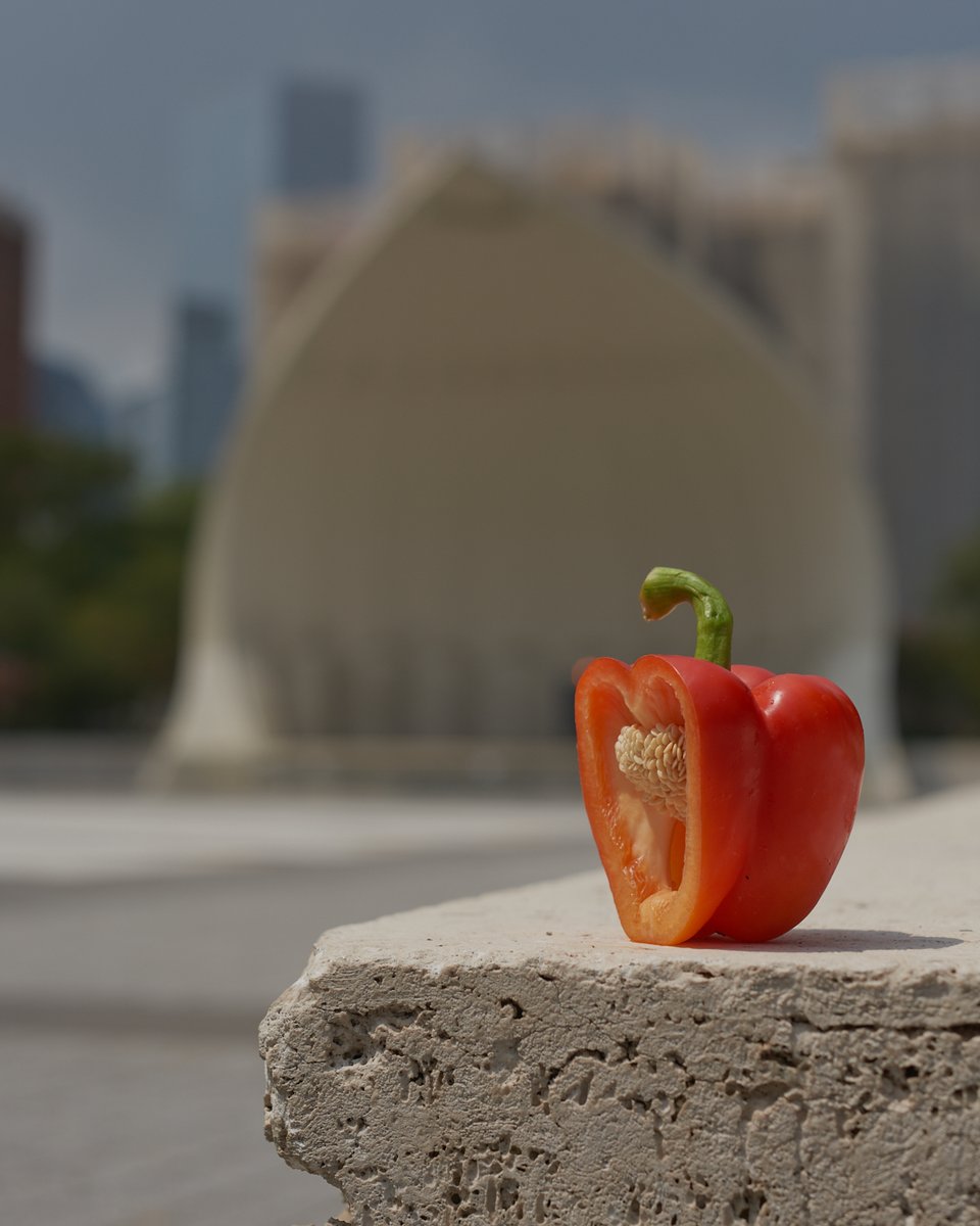 Brooklyn Fare coming soon to the Upper West Side! Stay tuned 👀