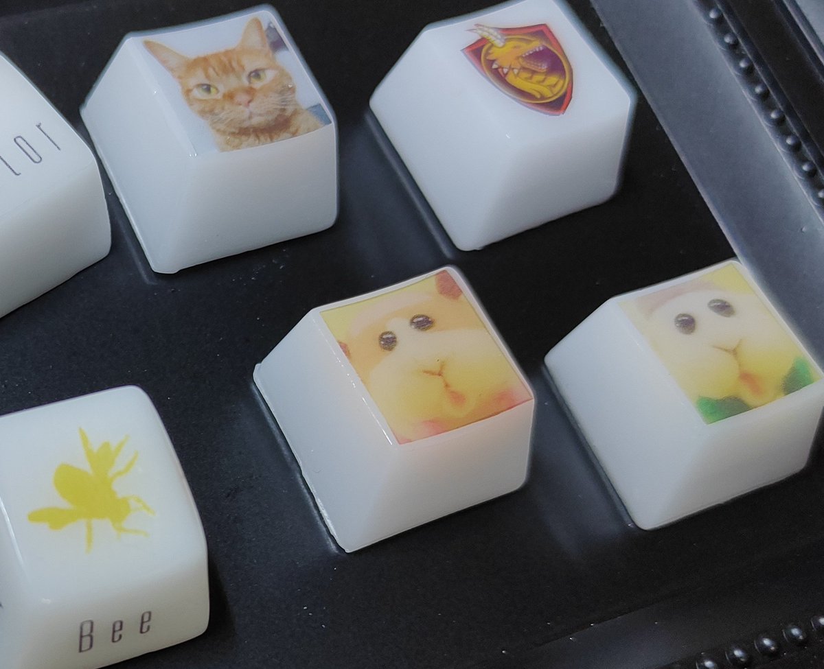 WinGames_Kitona's tweet photo. 磨いていたら、休日が終わってしまった…

#キーボード #キーキャップ #モルカー  #ねこ https://t.co/VMNYEpQOrZ