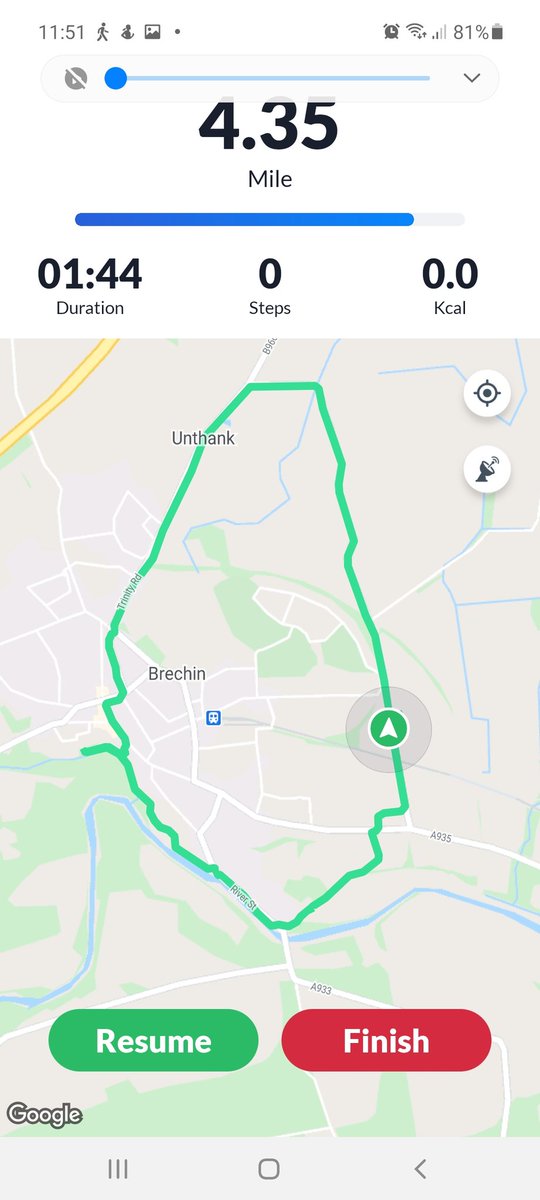 Joyceafcfan's tweet photo. Not a bad start for a Sunday walk https://t.co/FQ63ogWbYK