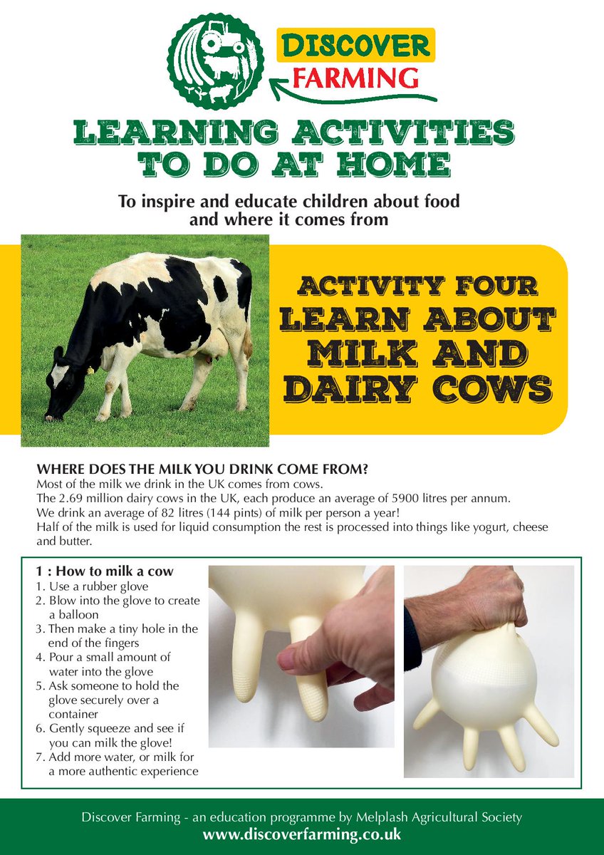 BridportFoodFestival tweet media