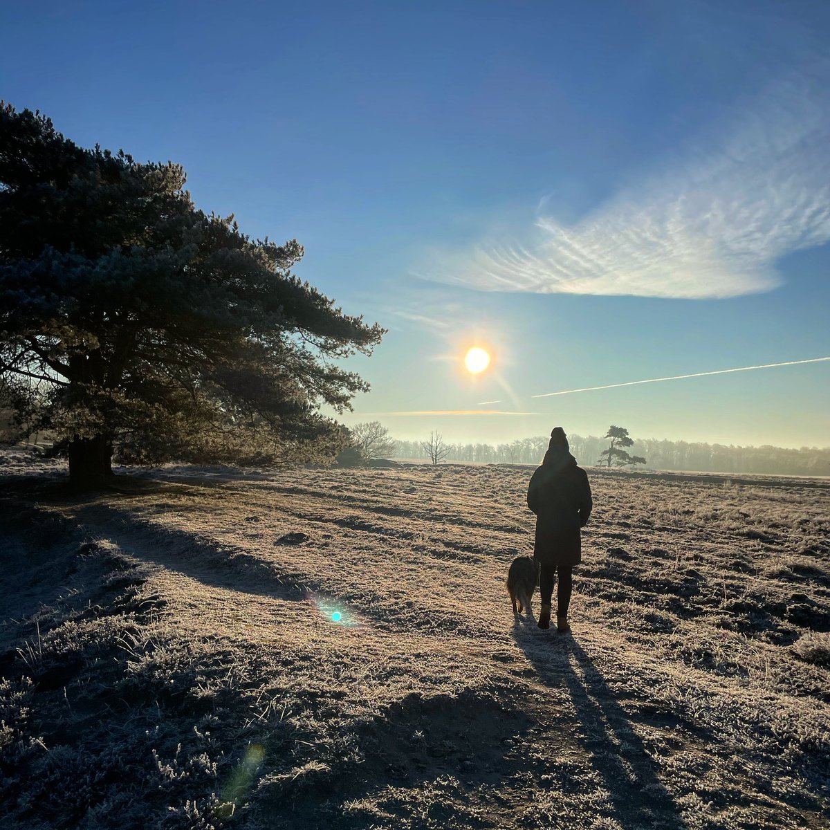 Wat een prachtige zondag voor een koude #wandeling!! ❄️🤗