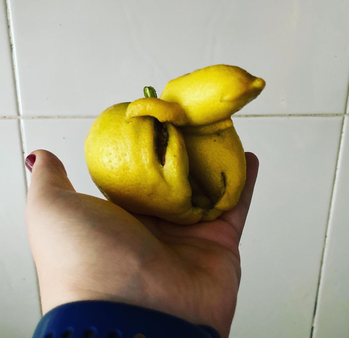 Posa-li un nom ⬇️