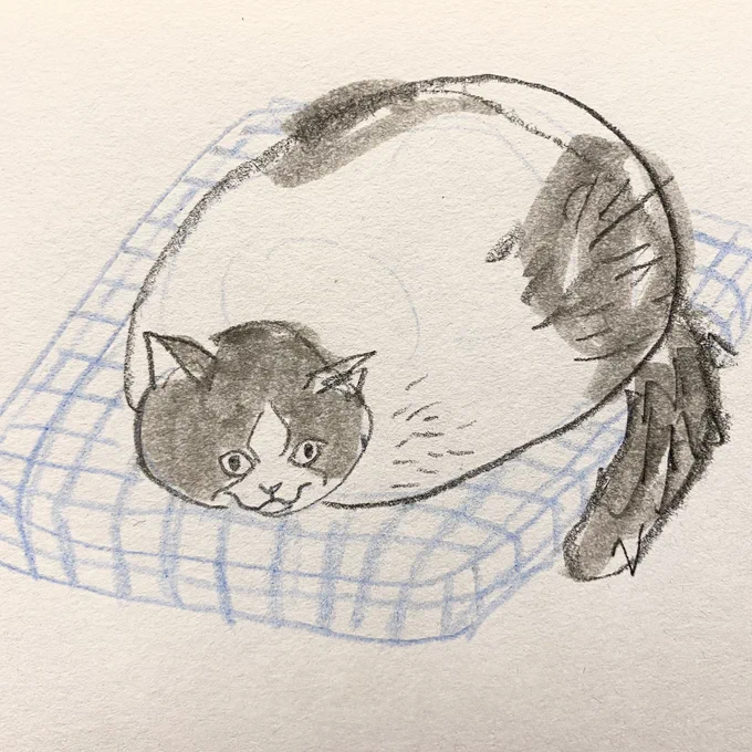Day 352-353 mobu sketches 