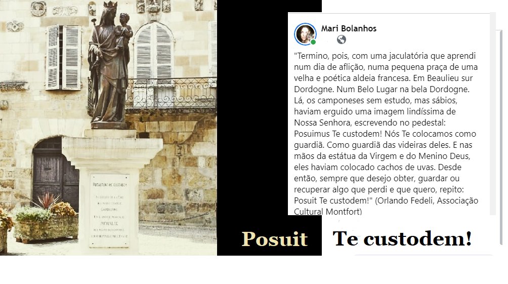 Mari Bolanhos tweet media