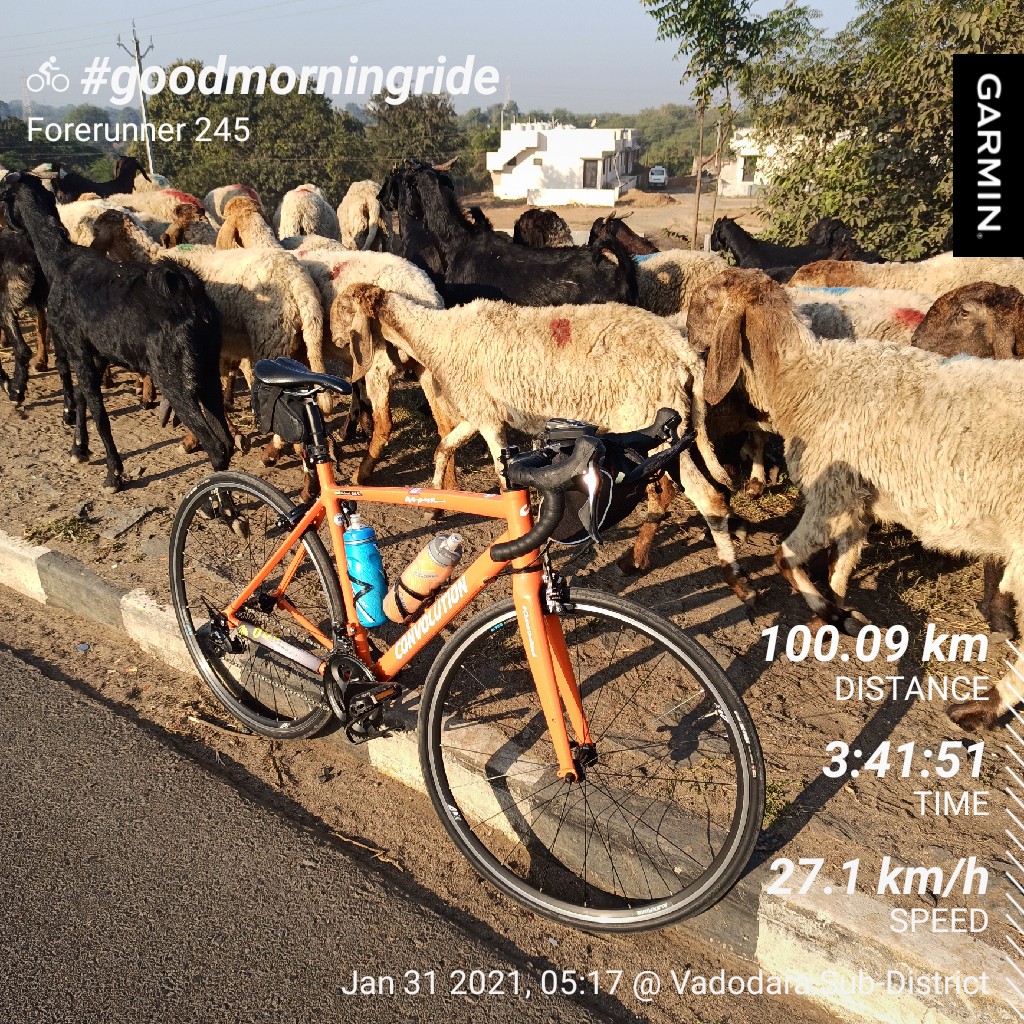 cheontheroad's tweet photo. 100 kms Running and 602 kms Cycling in January 2021. Celebrated with a solo Gran Fondo Ride today π
#CheontheRoad #aagayamazaa #MyFitnessJourney #Baaz #ConvolutionBikes #Aspera #Shimano105 #Garmin #Camelbak https://t.co/3fLthMTAMb