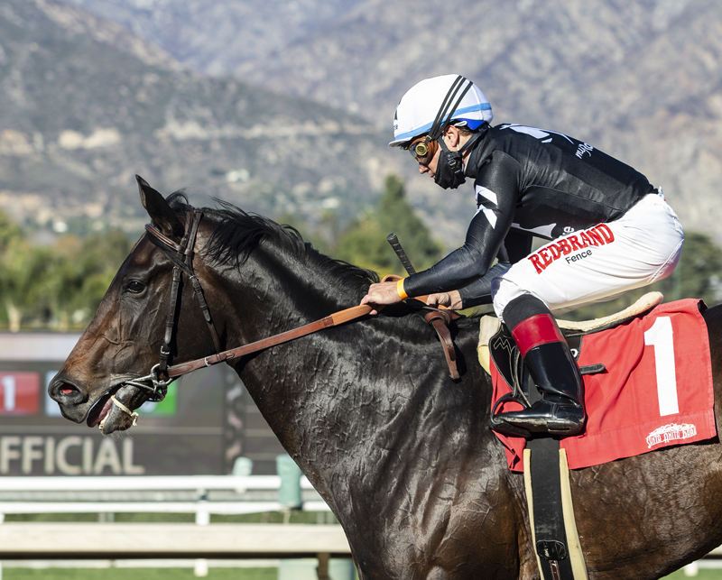 LauraLock10's tweet photo. 2nd in the San Pasquel Stakes for hard trying Tizamagician. Thanks @DraydenV for the great ride. Go #TeamMandella @MandellaGary @cambra_taylor -- Photo by Benoit. https://t.co/zwXVDG7HJb