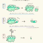 多肉植物はいろんな増え方がある!たくさん育てたいときはこの方法!