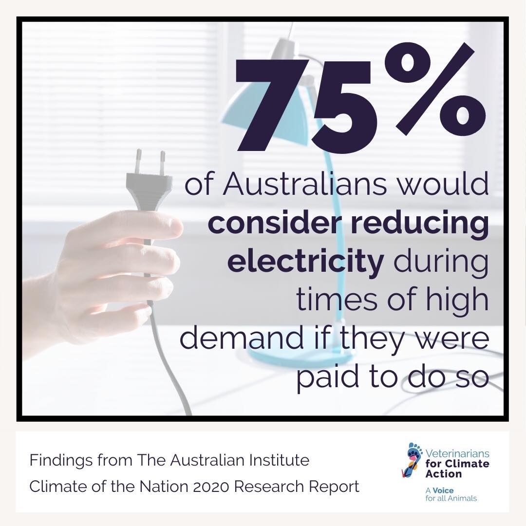 Vets4climateact's tweet photo. A recent report from the Australian Institute has shown that Australians are concerned about climate changes impacts on our country, our land, our waterways and our animals and are prepared to make changes 1/2 https://t.co/K9KsGccfhP