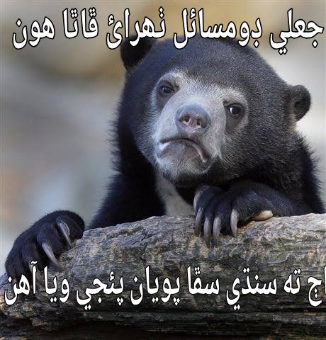 DadoSindhi's tweet photo. #sindhimeme
#SindhRejectsBogusDomiciles https://t.co/9P81LtOZBg
