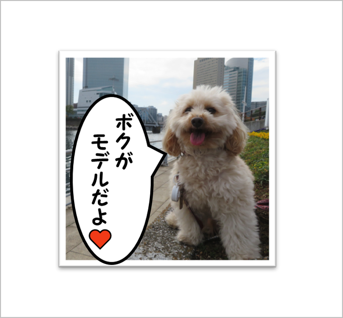 愛犬ラッキーのtwitterイラスト検索結果 愛犬ラッキーのtwitterイラスト検索結果