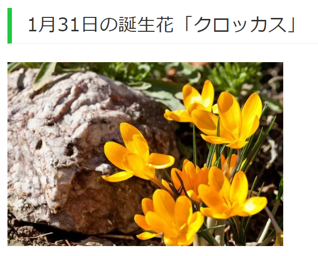 青春の喜びのtwitterイラスト検索結果