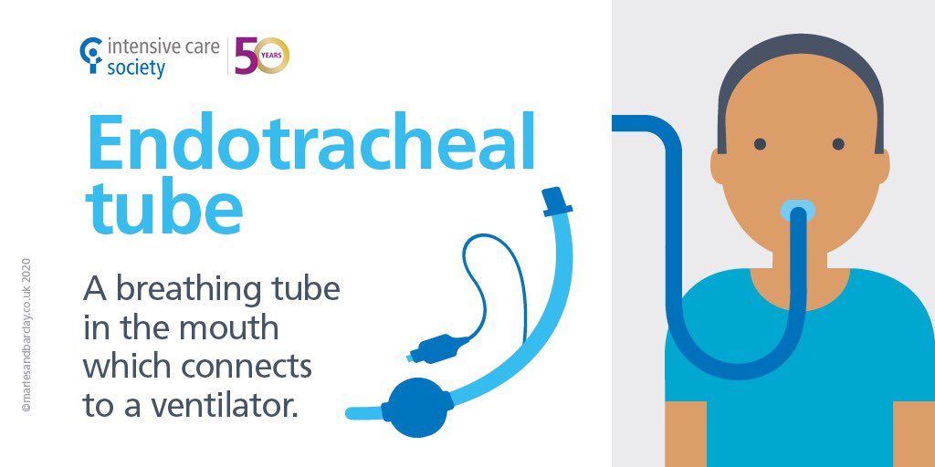 stephen_t_webb's tweet photo. Mechanical ventilation is a treatment to help pts with COVID, if you or your relative is offered intubation + ventilation it’s because the ICU team think they need it and they would benefit from it. @ICS_updates agrees 100% with @FICMNews in @Telegraph https://t.co/YA3wiDHQkW https://t.co/raiYIT7XKr