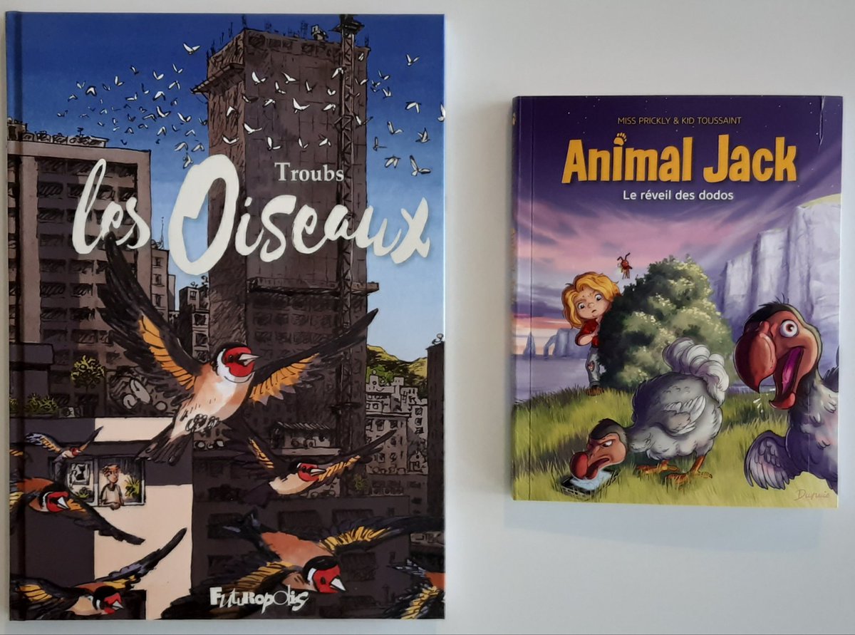 LoMelikian's tweet photo. Reçus simultanément,  deux livres qui -à leur manière- dressent un portrait de la planète du point de vue des oiseaux.
#bandedessinée #troubs #dupuis #kidtoussaint  #Futuropolis https://t.co/WohIVAWBwa