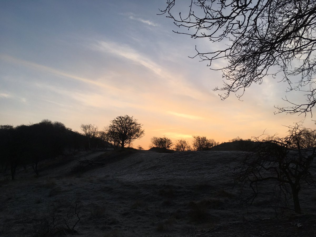 MariaHansen67's tweet photo. Early Sunday morning walk in the dunes at -2C. https://t.co/Y7mOEkBZtv