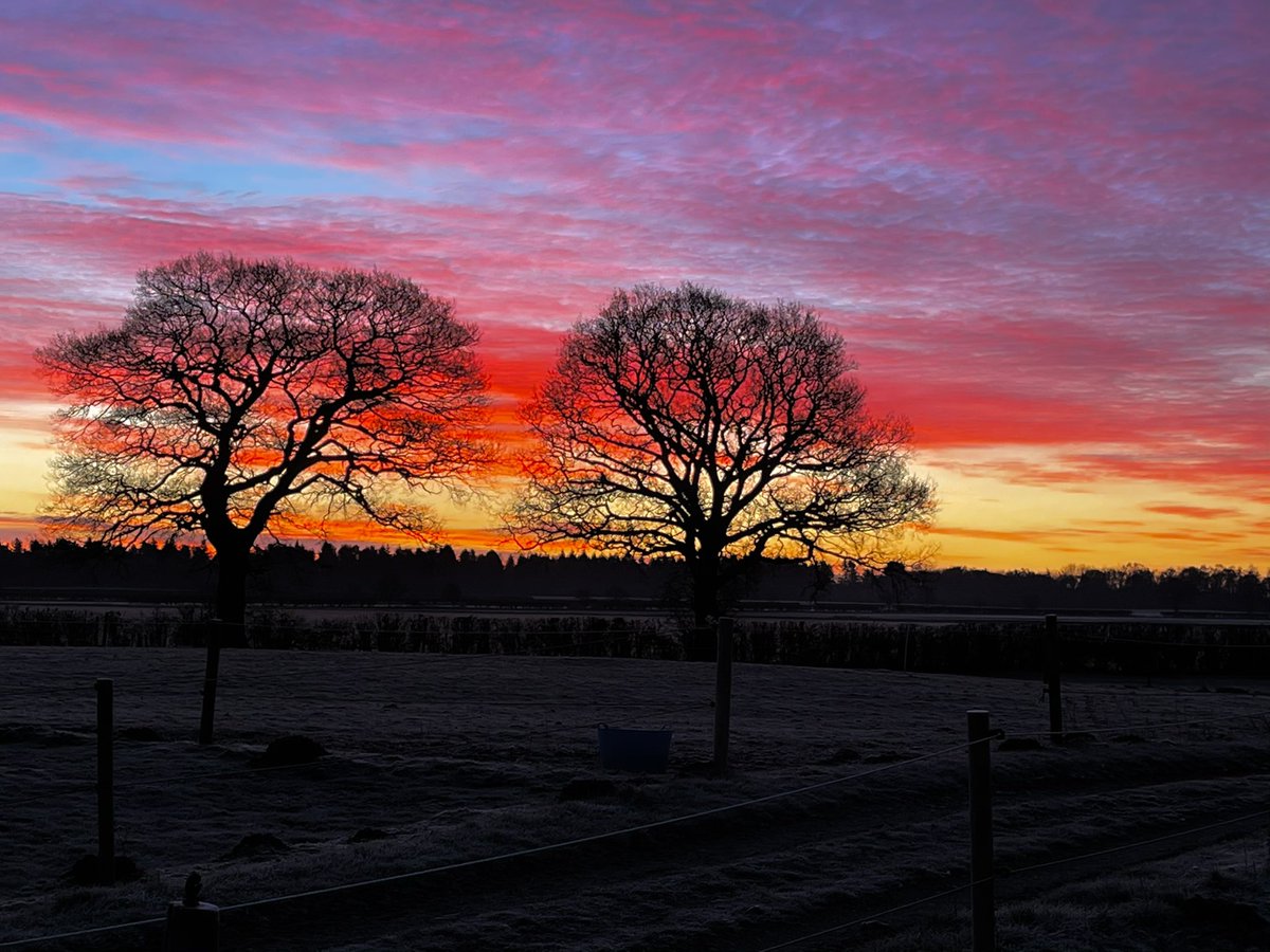 Amazing sky this morning <a href="/nysfitter/">yorkshiresaddlefitter</a> <a href="/northyorkswx/">NorthYorksWeather</a> #northyorkshire #goodmorning #sky #yorkshire