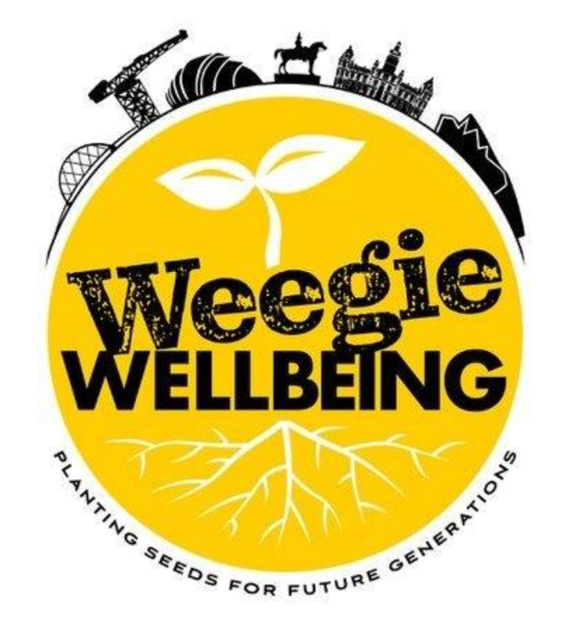 CREATE Paisley tweet media