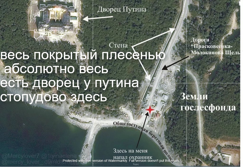 Ryriq2's tweet photo. #митинг2021 #дворец #навальный #аквадискотека @Ryriq2  @Mercylover7 https://t.co/hZMEtpHUjY