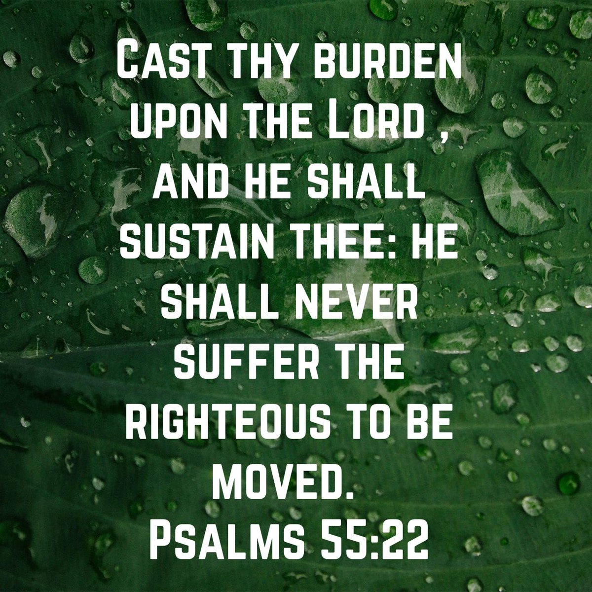 ushiegeorge's tweet image. Cast thy burden upon the Lord , and he shall sustain thee: he shall never suffer the righteous to b…
bible.com/bible/1/psa.55…
