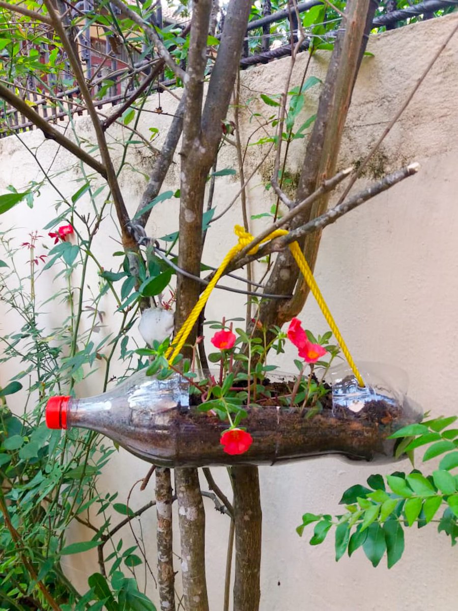 Bohras_FarEast's tweet photo. The ladies of the @Dawoodi_Bohras community in #Colombo have been busy repurposing and upcycling plastic into beautiful, prolific creations, as part of Turning the Tide against Plastic Pollution &amp; Happy Nests (global initiatives aiming to spread awareness to #SaveOurPlanet). https://t.co/rTDexvxjXc