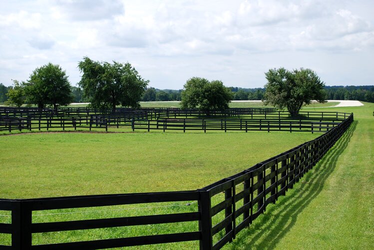 забор для загона лошадей. огороженное пастбище. левада загон для лошадей. огороженное пастбище. забор на пастбище.
