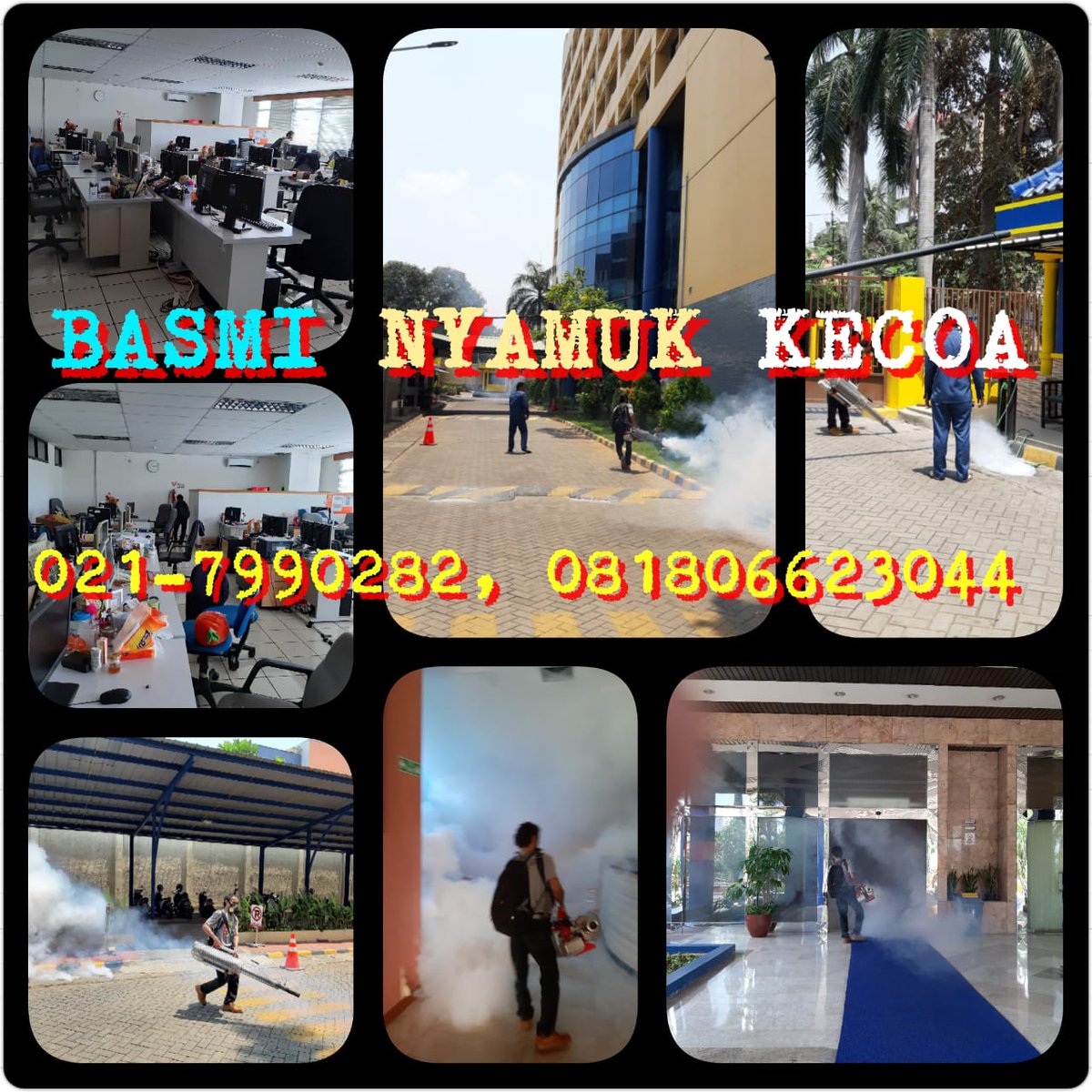 JasaBasmi's tweet photo. Jasa Pest control Jakarta, kami siap melayani penanganan Anti rayap, basmi nyamuk, basmi kecoa, basmi lalat, basmi semut, basmi lalat, basmi kutu busuk, basmi kutu gudang, Fumigasi perpustakaan dll
info CS: (021)7990282, 0813-1049-5640
#EkonomiBangsaMenguat https://t.co/c5FhTYRiFE