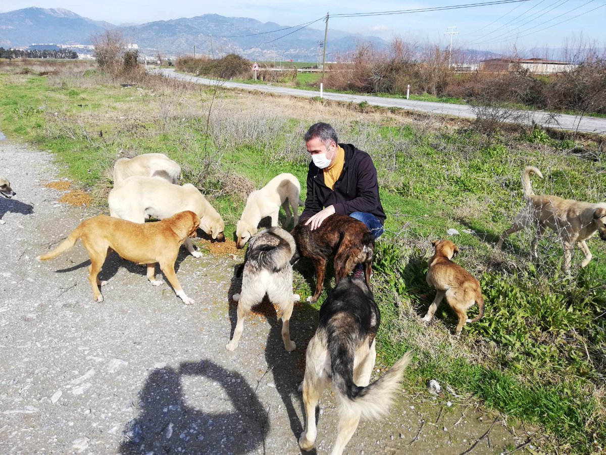 Sokağa çıkma kısıtlaması sürecinde sokak hayvanları Valiliğimiz koordinasyonunda ilgili kurumlar ve sivil toplum gönüllüleri tarafından unutulmadı.