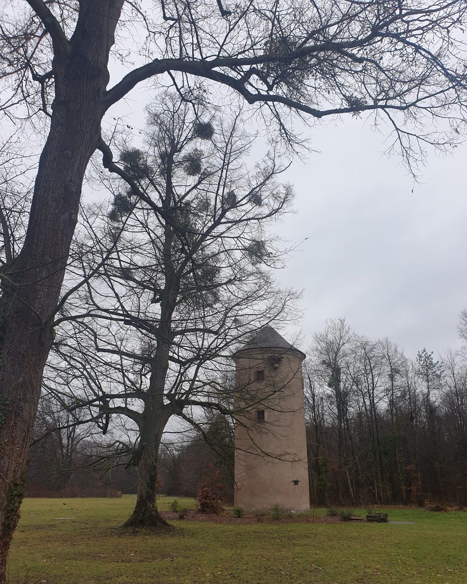 Alsacia_SlvNgra's tweet photo. 📍Alsacia 🇨🇵
Al norte de Estrasburgo hay una zona ideal para familias con niños o para gente que simplemente quiere desconectar de la ciudad o de lo que sea.
➡️ Es el bosque de Robertsau, y dentro de él se encuentra el llamado parque de Pourtales.
#Francia #Naturaleza https://t.co/wbrm6zKJpR