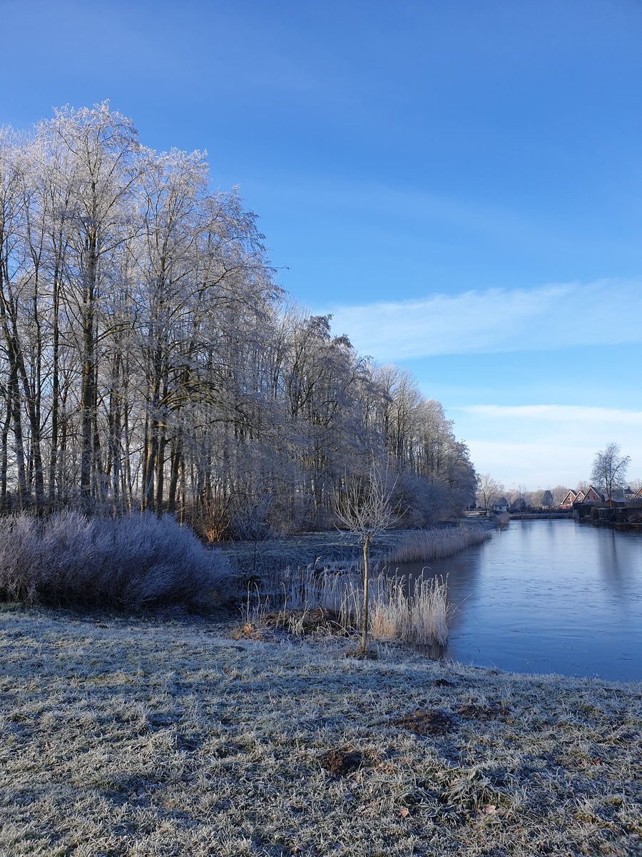 NellyBoer's tweet photo. Genieten van een ochtendwandeling in een zonnige bevroren wereld... https://t.co/pSpbzBeqKc