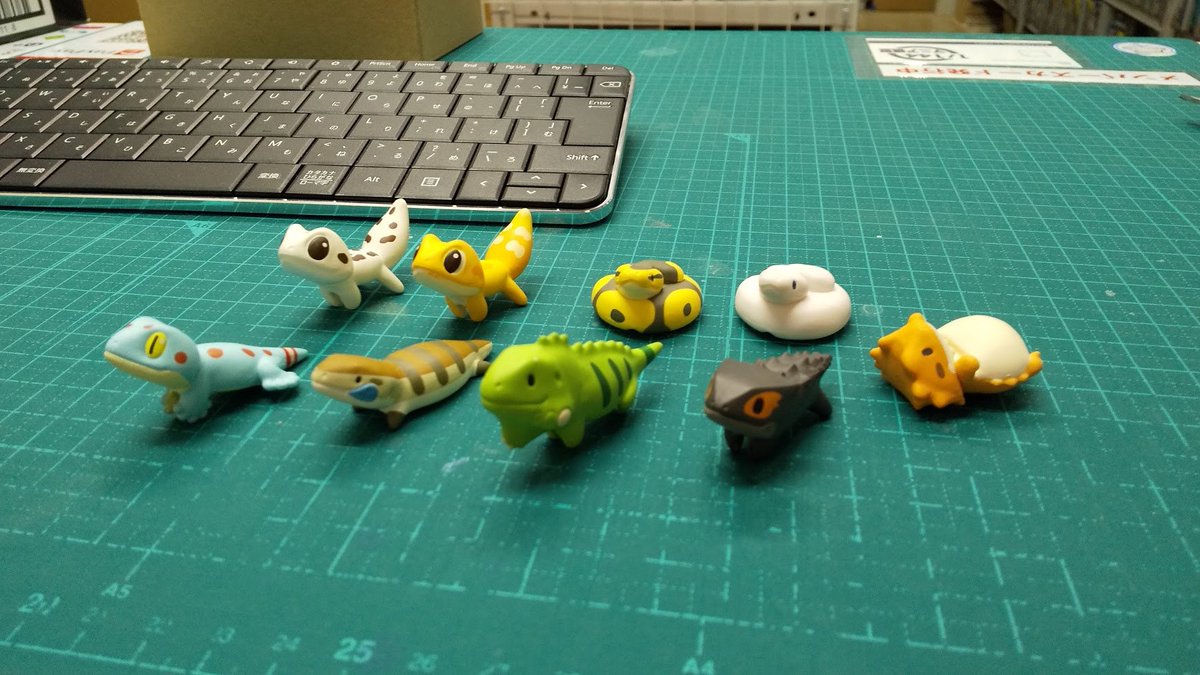 1 144マニア模型 お知らせ はちゅこっとサンプル開封しました W かわぃ 全9種類で白蛇ことボールパイソンのリューシスティックがシークレット枠のようです 生き物カプセルとしてまた置いておきますｗ 1個0円って安さもいい商品ですよね W