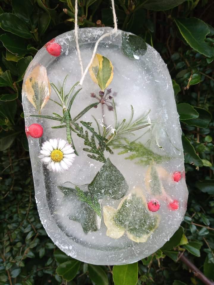 Some of the amazing ice art created by Puddletown group last week, and a tasty snack for the garden wildlife!