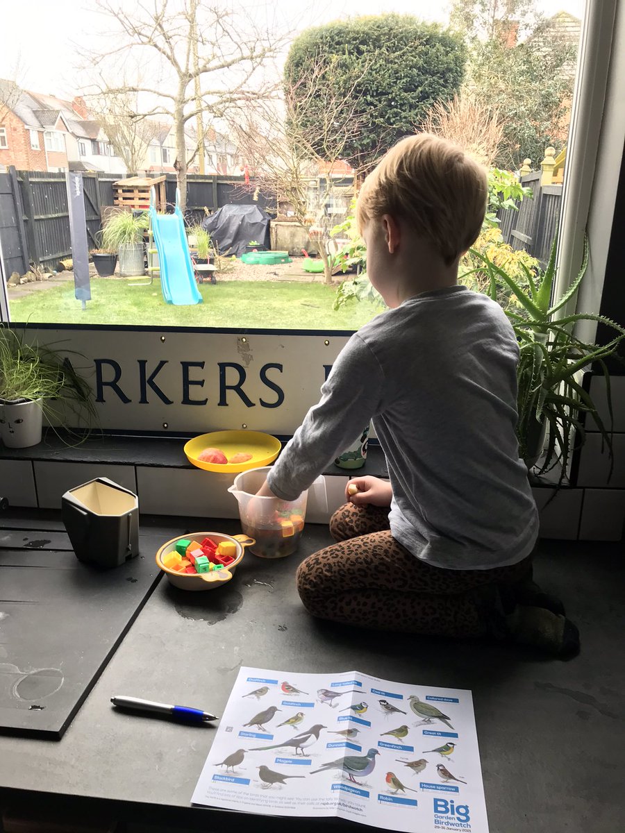 matjparker's tweet photo. #BigGardenBirdWatch and #rabbitwatch @Natures_Voice https://t.co/bhOadPkXC2