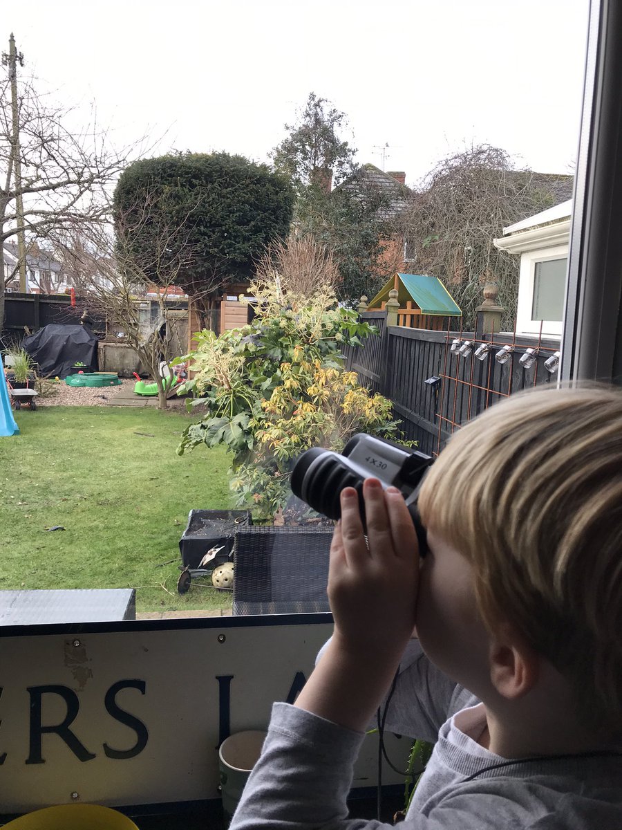 matjparker's tweet photo. #BigGardenBirdWatch and #rabbitwatch @Natures_Voice https://t.co/bhOadPkXC2