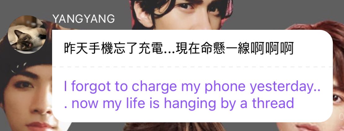 🧼 (@yyangge) on Twitter photo 