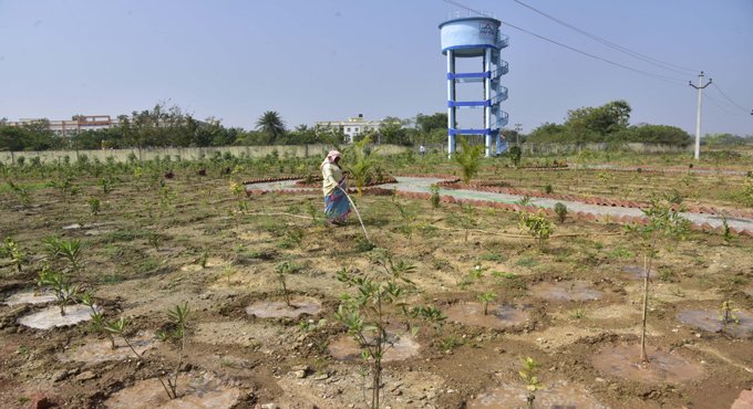 BrsBikshapathi's tweet photo. Rural Telangana undergoing rapid change
🔴Under Palle Prakruthi Vanam programme over 190.66 lakhs saplings were planted at 18,329 parks in Telangana.
#KCRMARK 

@KTRTRS @JAGANTRS @DayakarRao2019 https://t.co/6cxrNzFUu6