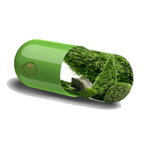 shinrinyoku_EU's tweet photo. 💊VITAMINA N🌳🍃🌺es la inmersión en una atmósfera de bosque con fines terapéuticos
#vitaminan #shinrinyoku #forestbathing #foresttherapy #natureismedicine #avocado  #saludable #natureandhealth #ecologiaverde 
#ecotherapy #greengym #biofilia #friluftsliv
https://t.co/MmnCOu4XKl https://t.co/INcsRpazca