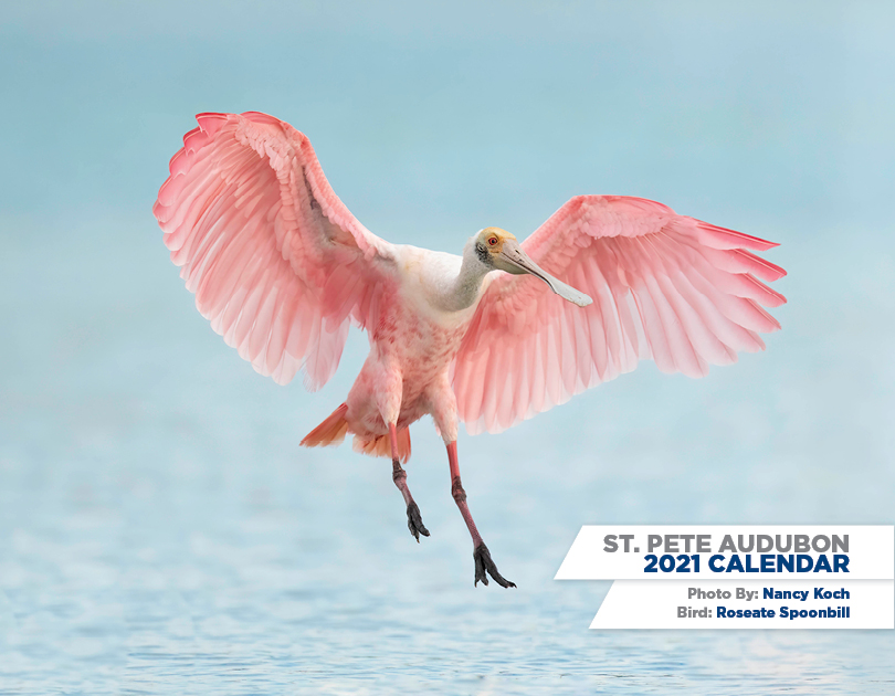 Citizen Science - in your backyard! - mailchi.mp/437ccae64581/o…